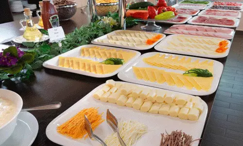 هتل آنی سنترال ایروان ارمنستان